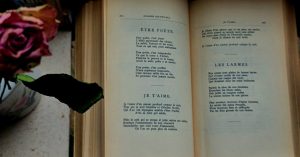 An open vintage poetry book with a dried rose beside it in Brussels, Belgium.
